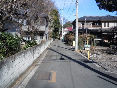 小金井公園付近