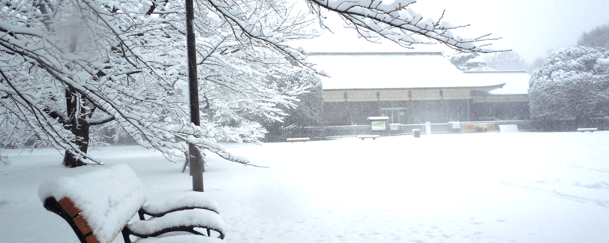 小金井公園雪